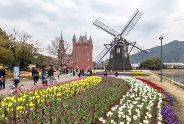 The windmill  at Huis Ten Bosch theme park with many color tulips garden in Sasebo, Nagasaki, Japan. Nagasaki, Japan - March 18, 2017 :The windmill  at Huis Ten Bosch theme park with many color tulips garden in Sasebo, Nagasaki, Japan. nagasaki prefecture photos stock pictures, royalty-free photos & images