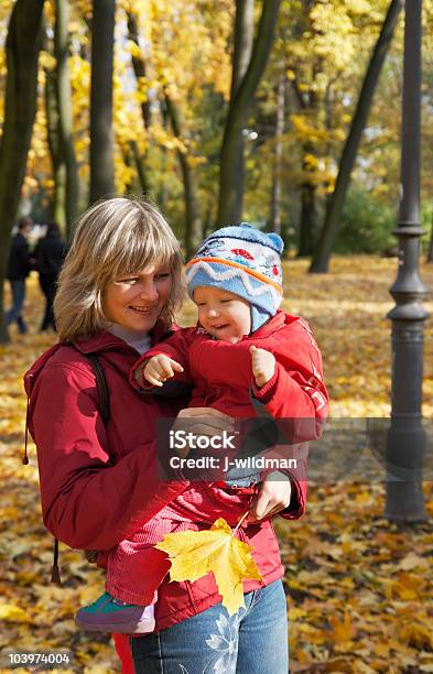 Familie Im Herbst Park Stockfoto und mehr Bilder von Ahorn - Ahorn, Alleinerzieherin, Attraktive Frau