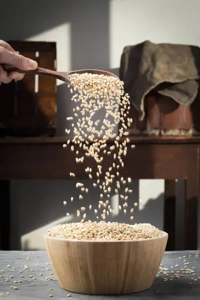 Pearl barley in a wooden spoon pours grains in wooden bowl. Rural style.