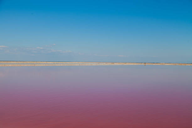 istock Pink Lake with blue sky landscape background 1039744752
