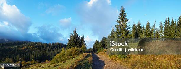 Morgen In Den Bergen Stockfoto und mehr Bilder von Alm - Alm, Anhöhe, Baum