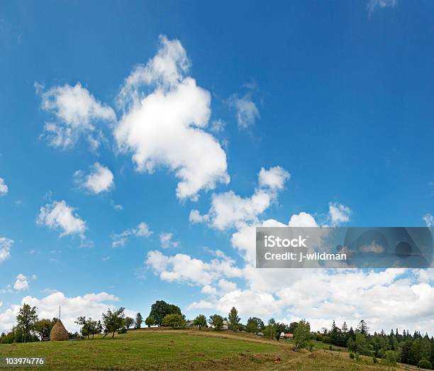 Berg Hoch Himmel Stockfoto und mehr Bilder von Alm - Alm, Anhöhe, Baum