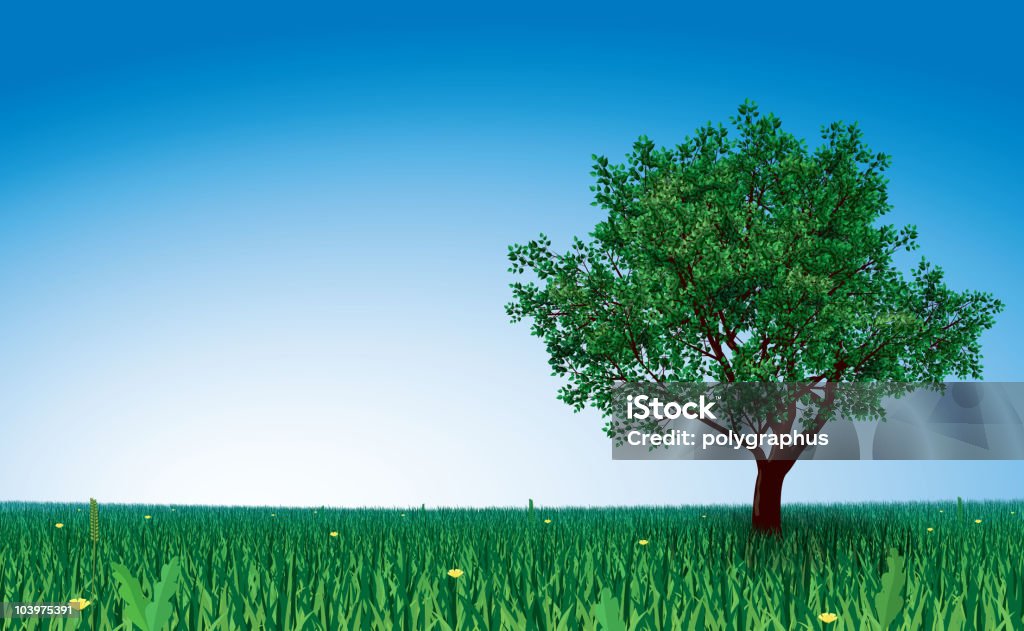 Baum im grünen Feld - Lizenzfrei Einzelner Baum Vektorgrafik