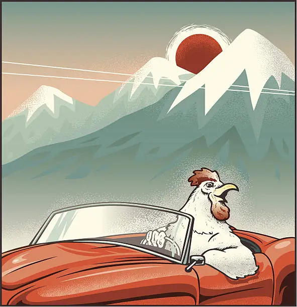 Vector illustration of Rooster Driving Convertible