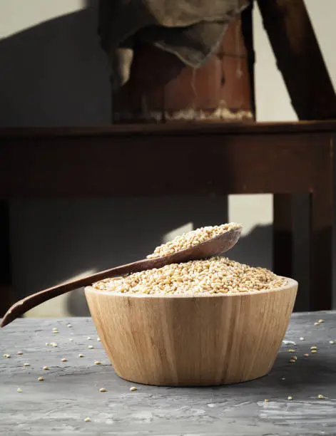 Pearl barley seeds in a wooden spoon and a full wooden bowl. Against a dark background. Rustic style.
