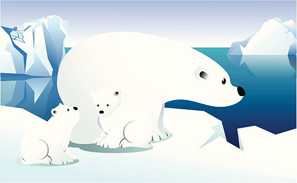 Ilustración de Osos Polares y más Vectores Libres de Derechos de Oso polar  - Oso polar, Hielo, Aire libre - iStock