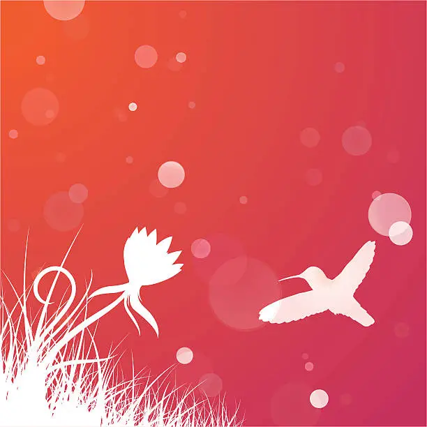 Vector illustration of Hummingbird Background