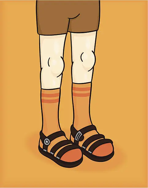 Vector illustration of Socks and Sandals