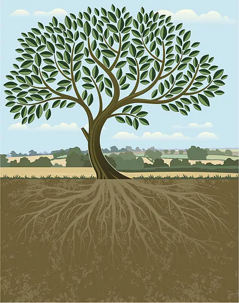 Vector illustration of Bent tree with roots.