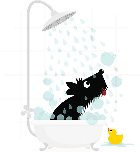 illustrazioni stock, clip art, cartoni animati e icone di tendenza di terrier cane carino illustrazione vettoriale di bagno - doccia