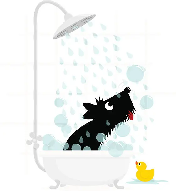 Vector illustration of Dog bath terrier cute illustration vector