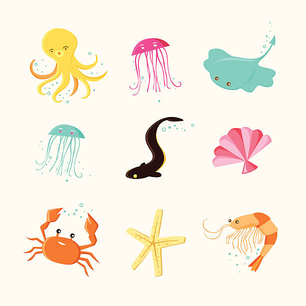 귀여운 바다빛 생은 아이콘 - medium group of animals illustrations stock illustrations
