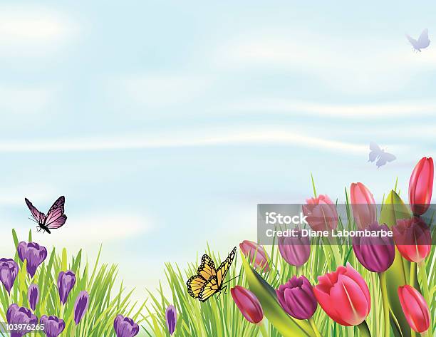 Весенние Тюльпаны И С Крокусами Клумба — стоковая векторная графика и другие изображения на тему Тюльпан - Тюльпан, Бабочка, Без людей