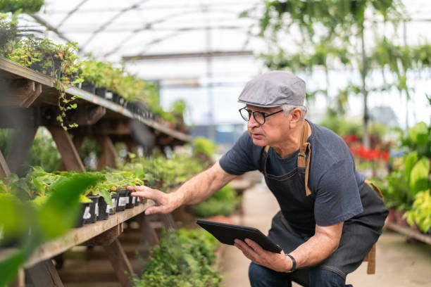 agriculteur, examinant les plantes à l’aide de tablette numérique - country market photos et images de collection