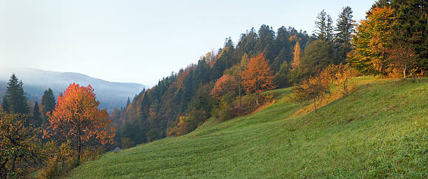 istock Autumn morning 103977711