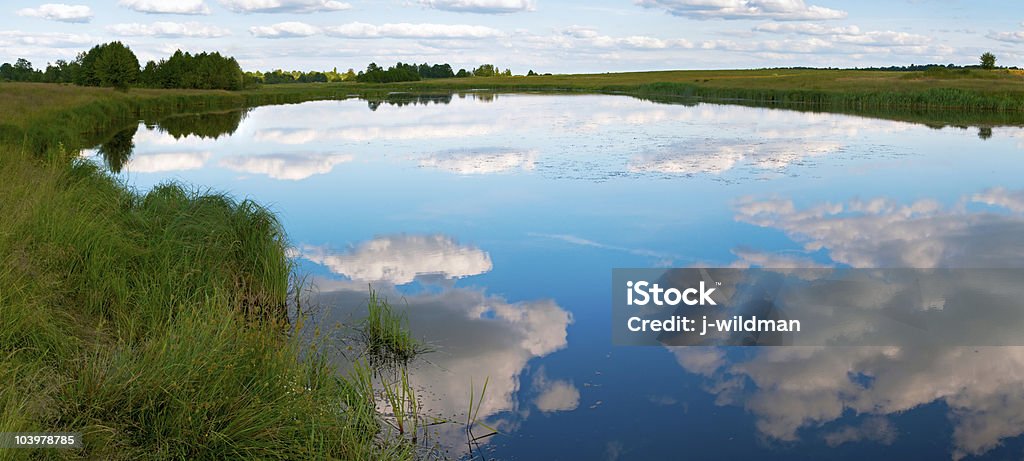panorama de verão rushy lago - Foto de stock de Azul royalty-free