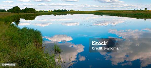 Foto de Panorama De Verão Rushy Lago e mais fotos de stock de Azul - Azul, Beleza natural - Natureza, Cena Não-urbana