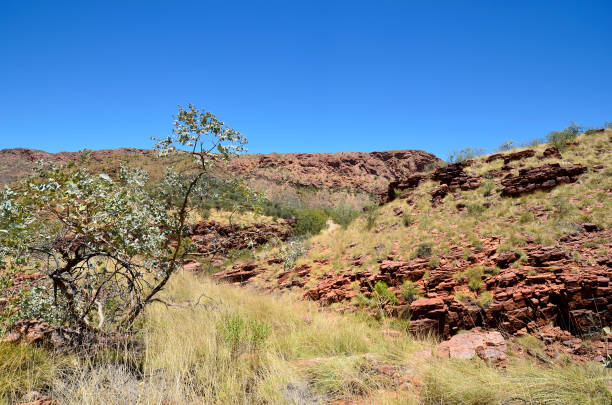 Australia, Northern Territory, McDonnell Range, Trephina Gorge