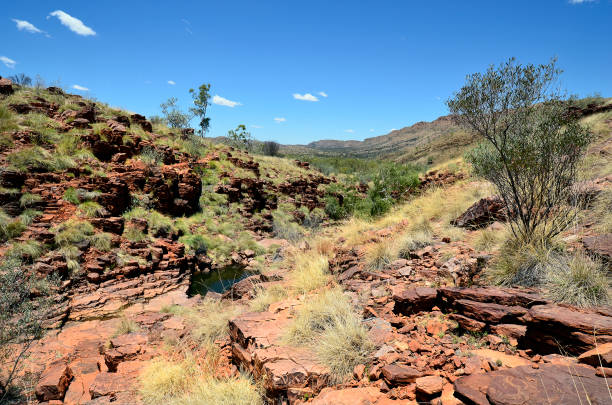 istock Australia, Northern Territory, McDonnell Range, Trephina Gorge 1039792720