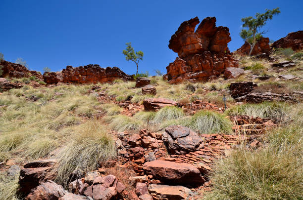 istock Australia, Northern Territory, McDonnell Range, Trephina Gorge 1039793396