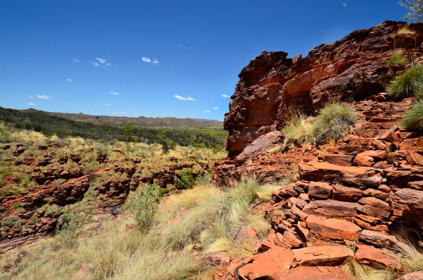 istock Australia, Northern Territory, McDonnell Range, Trephina Gorge 1039795684
