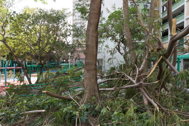 istock Super Typhoon Mangkhut Arrives Hong Kong 1039795734