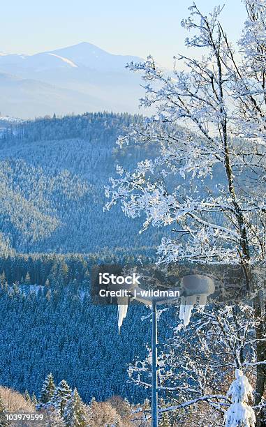 Rime Covered Trees In Winter Mountain Stock Photo - Download Image Now - Beauty In Nature, Blue, Carpathian Mountain Range