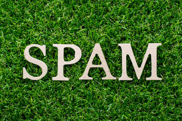 istock Wood letter in word spam on artificial green grass background 1039796516