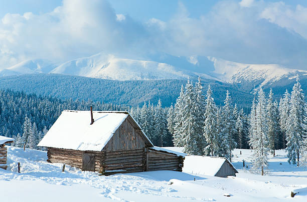 istock Mountain scene with snow covered buildings and trees 103980242