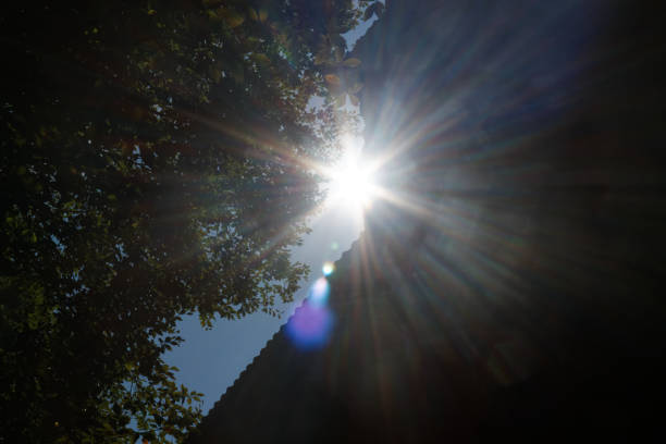 istock Sun beams pour through trees in autumn forest 1039814202