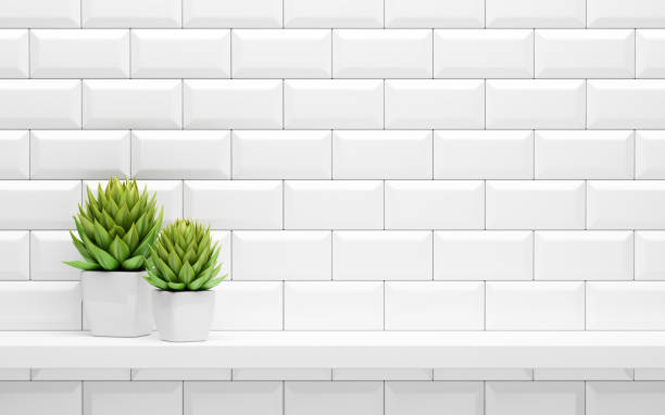 white shelf on tiled wall with green potted plants mock up