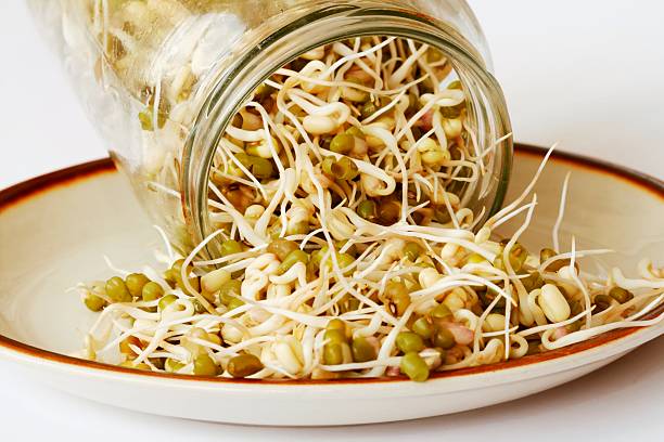 istock Mason jar spilling Mung bean seedlings onto a plate 103983368
