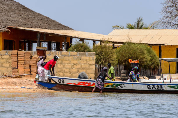 Unidentified Senegalese people pull a boat on the coast of the Casamance river CASAMANCE RIVER, SENEGAL - APR 29: Unidentified Senegalese people pull a boat on the coast of the Casamance river casamance river stock pictures, royalty-free photos & images
