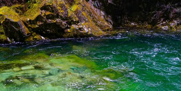istock Oregon's Heavenly Green Gold 1039846056
