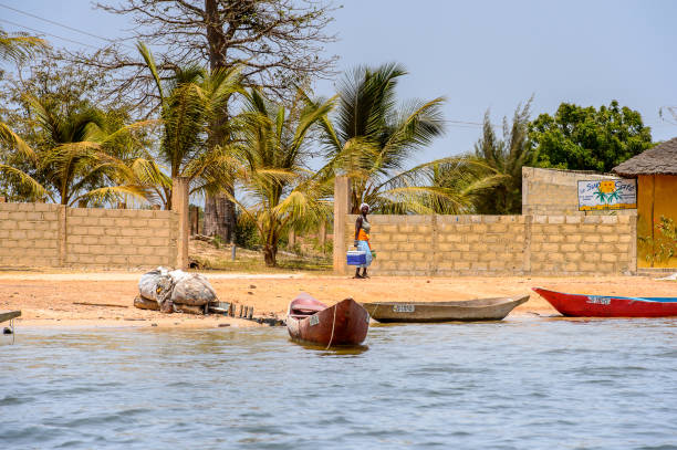 Unidentified Senegalese woman carries a box on the coast of the Casamance river CASAMANCE RIVER, SENEGAL - APR 29: Unidentified Senegalese woman carries a box on the coast of the Casamance river casamance river stock pictures, royalty-free photos & images