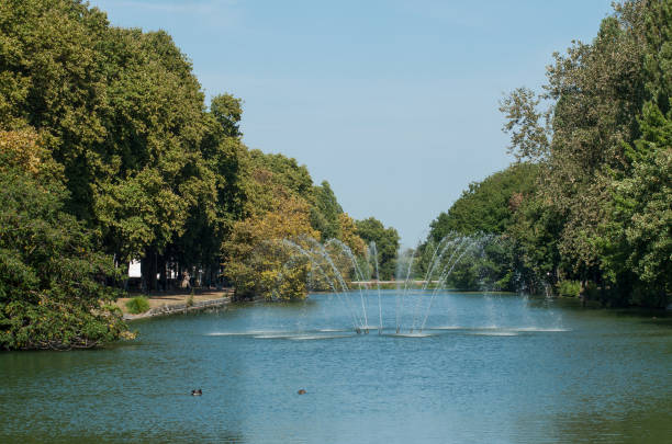 neuen teich mit wasserfall in mulhouse - mühlhausen stock-fotos und bilder