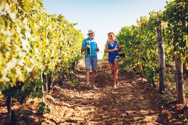 istock Couple In The Vineyard 1039869906