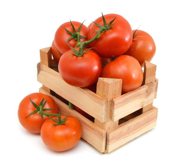 Red tomatoes in wooden crate on white
