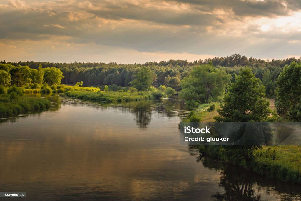 noche de verano. hermosa vista del río con costas verdes, árboles y bosque denso bajo el cielo nublado en la iluminación del atardecer caliente - Foto de stock de Bielorrusia libre de derechos