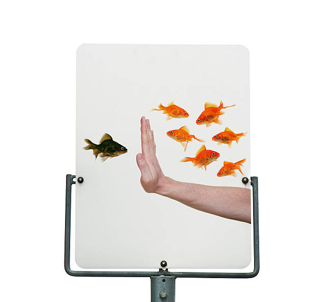 istock racism warning road sign 103989465