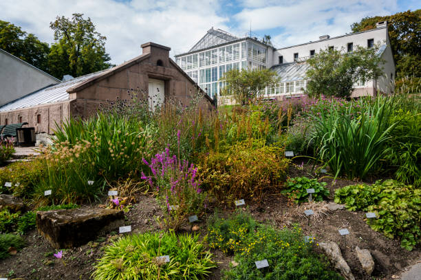 ботанический сад, осло, норвегия - palm house стоковые фото и изображения