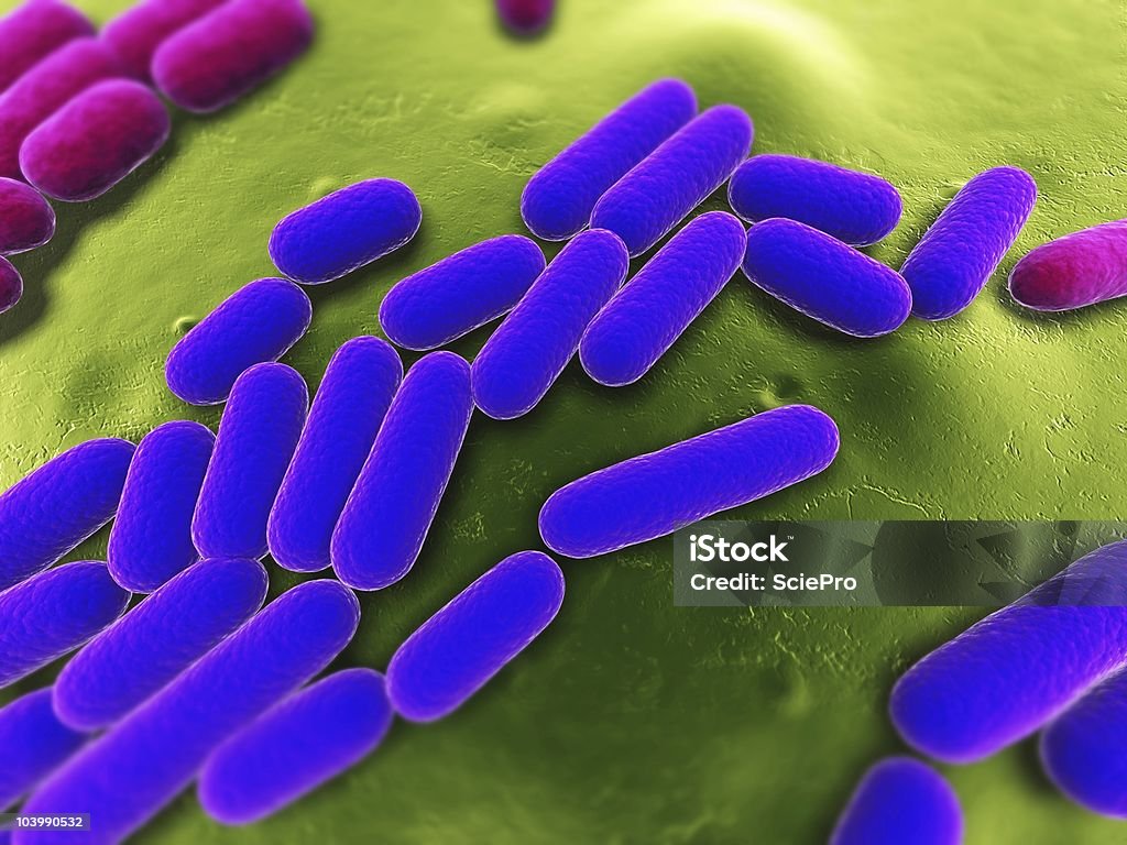 Bactéries illustration - Photo de Bacillus Subtilis libre de droits