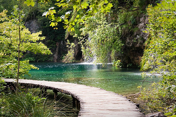 ponte pedonal no parque nacional de plitvice - gangplank imagens e fotografias de stock