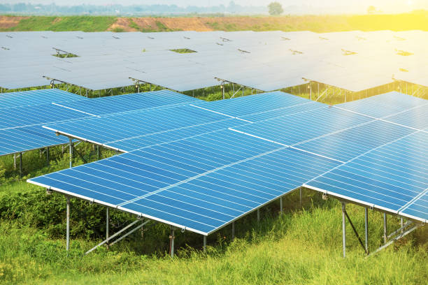 istock Panel of solar cells generating electricity using solar energy. (Renewable Energy Concept) 1039910734