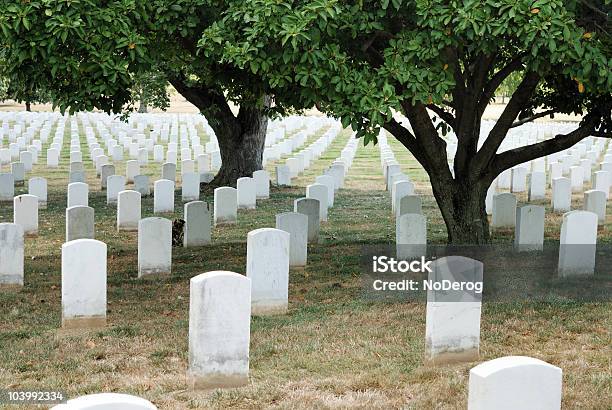 Gravestones 알링턴 0명에 대한 스톡 사진 및 기타 이미지 - 0명, World War II, 군대