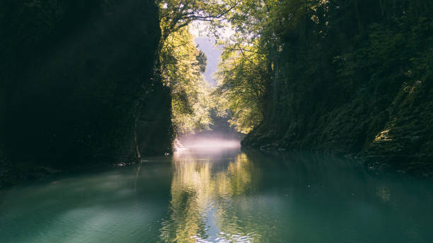 istock Canyon in morning - Misty Martvili Canyon 1039929836