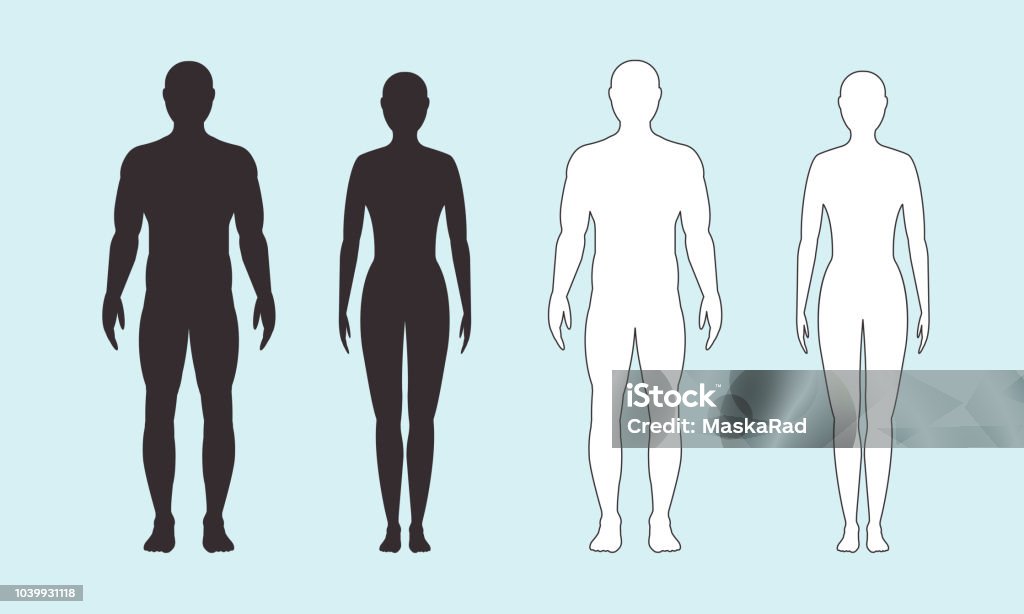 Male and female silhouette on blue background, vector. Male and female silhouette on blue background. Vector flat illustration. man and a woman. The Human Body stock vector