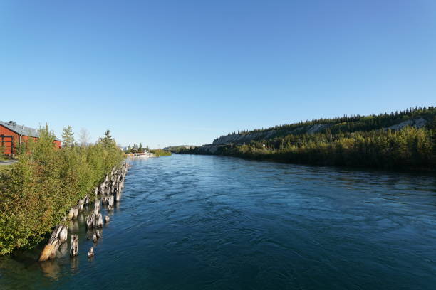 istock Yukon River flowing in Whitehorse, Canada in September 1039932022