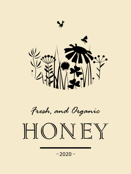 ilustrações de stock, clip art, desenhos animados e ícones de vintage honey card with bees and flowers - favo de mel ilustrações