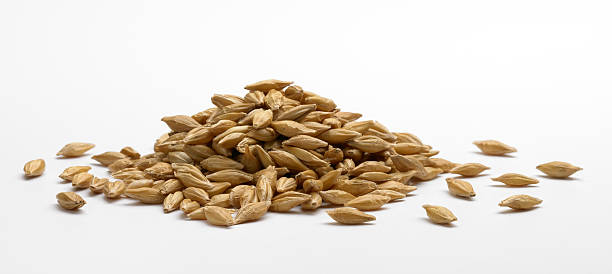自動大麦の - barley ストックフォトと画像